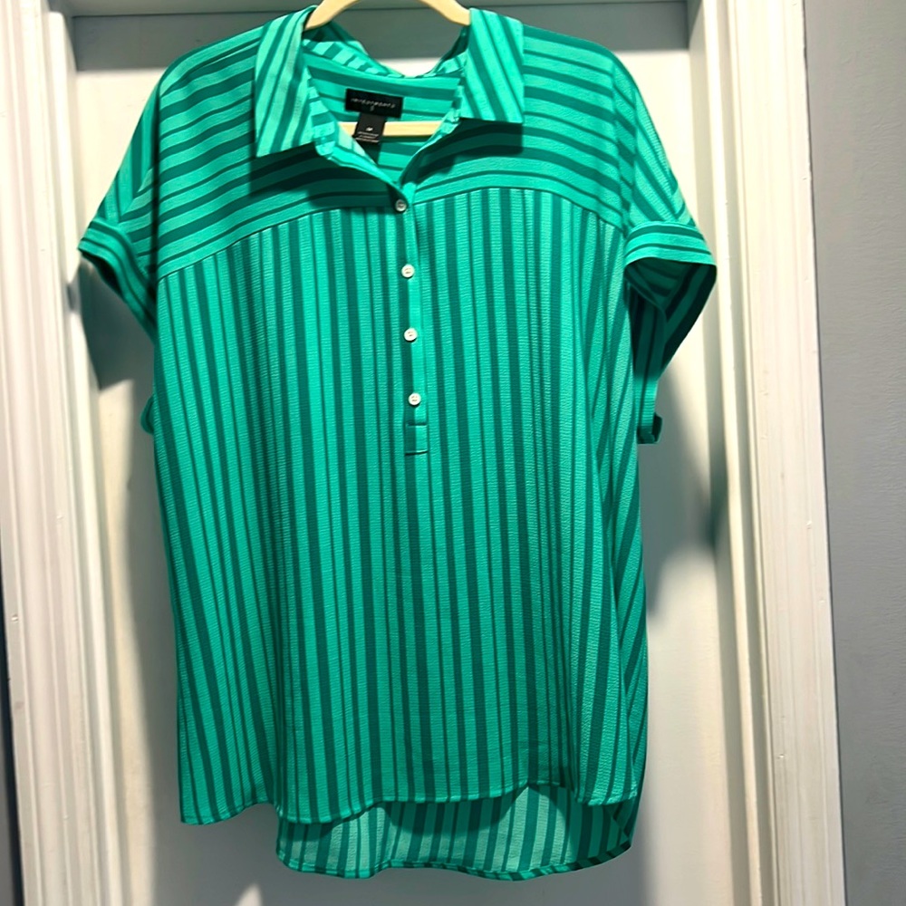Green Striped Investments Blouse. Worn Once.